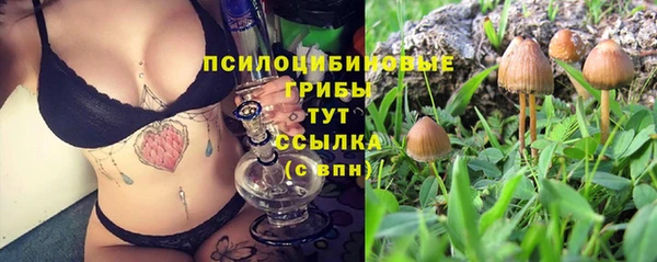 синтетический гашиш Богородицк